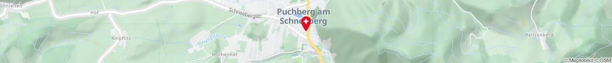Map representation of the location for Schneeberg-Apotheke in 2734 Puchberg am Schneeberg